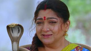 Nandhini  நந்தினி  Episode 456  Sun TV Serial  Super Hit Tamil Serial [upl. by Auohp]