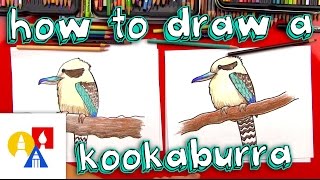 How To Draw A Kookaburra [upl. by Cronin]