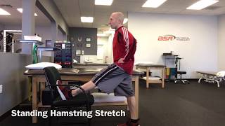 Standing Hamstring Stretch [upl. by Ailaroc822]