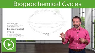 Harnessing Bacteria Biogeochemical Cycles – Microbiology  Lecturio [upl. by Virgina894]