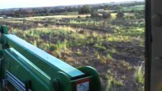 Planting Leucaena [upl. by Ruffina777]