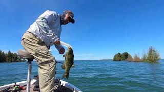 Drummond Island Smallmouth Bass Fishing  June 2020 [upl. by Fryd672]