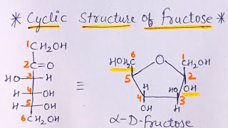 Cyclic Structure of Fructose  Biomolecules  JEE NEET [upl. by Miza]