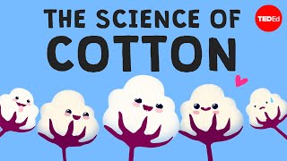 Why is cotton in everything  Michael R Stiff [upl. by Regen127]