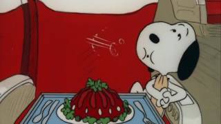 Snoopy and Woodstock on the Plane [upl. by Desdamonna148]