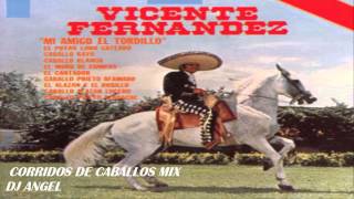 VICENTE FERNANDEZ CORRIDOS DE CABALLOS MIX [upl. by Hanover653]