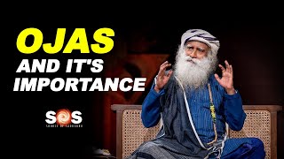 What is Ojas amp Its Significance in Our Life  Sadhguru Explains [upl. by Woodberry]