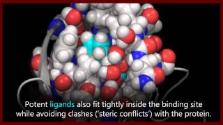 A basic introduction to drugs drug targets and molecular interactions [upl. by Nylzor]