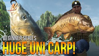 Lvl50 Weeping Willows UNIQUE Carp Method Leads amp More  Fishing Planet [upl. by Eirene]