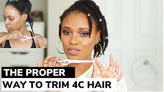 HOW TO TRIM YOUR OWN 4C HAIR Split endsTools amp Schedule Explained [upl. by Jermayne]