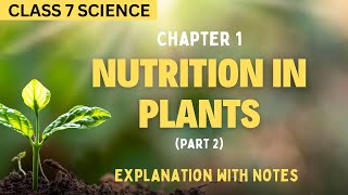 Nutrition in Plants Notes Part 2  Class7 Science Chapter 1 NCERT [upl. by Ahsile]