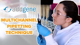 Multichannel Pipetting Technique [upl. by Ahseuqram]