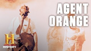 What Is Agent Orange  History [upl. by Amalburga]