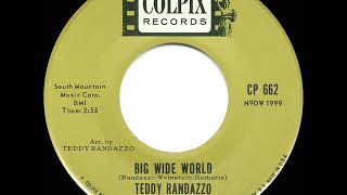 1963 HITS ARCHIVE Big Wide World  Teddy Randazzo [upl. by Bernardine634]