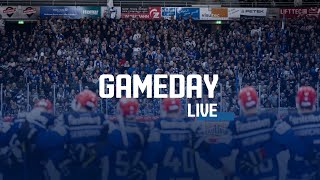 GAMEDAY LIVE [upl. by Narmak807]