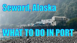 Walking in Seward Alaska  What to Do in Port [upl. by Atinaej165]