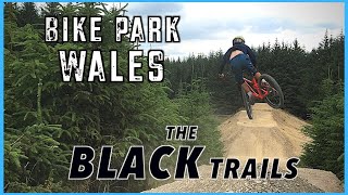 Bike Park Wales  The EXPERT Trails inc Enter the dragon [upl. by Qahsi]