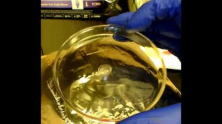 How to prepare a polymer thin film [upl. by Ahsemal79]