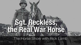 Sgt Reckless Reckless the Real War Horse [upl. by Swor]