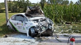 Rally Crash Compilation  Best of rally [upl. by Kralc]