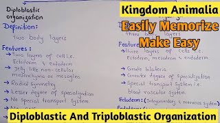 Diploblastic And Triploblastic Organization  Kingdom Animalia  Class 11 [upl. by Malkin]