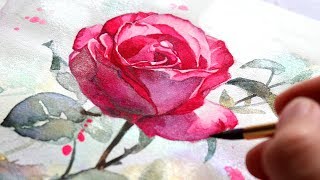 WATERCOLOR TUTORIAL FOR BEGINNERS How To Paint A Rose In 5 Steps [upl. by Baudoin]