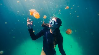 The Most Beautiful Free Diving in the World [upl. by Capp]