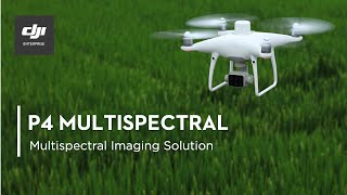 P4 Multispectral  Multispectral Imaging Drone Solution [upl. by Georgina]