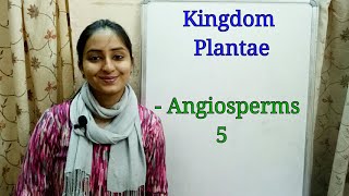 SubDivision Angiosperms  Biological classification part9  Class XI  Lecture 37 [upl. by Leerzej327]