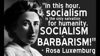 Rosa Luxemburg  In Our Time [upl. by Epifano]