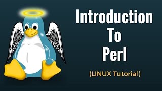 Introduction to Perl  Perl Tutorial for Beginners [upl. by Hadik]