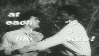 MP4 1080p The Defiant Ones Trailer 1958 Sidney Poitier Tony Curtis [upl. by Brocky1]