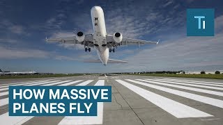 How Massive Airplanes Take Off And Stay In Midair [upl. by Garibald803]