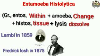 Entamoeba histolytica  Morphology Life Cycle Classification NOTES [upl. by Alcott]