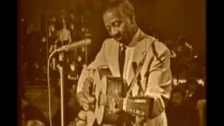 Lonnie Johnson Too Late To Cry [upl. by Suirtimed556]