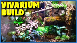 Bioactive Vivarium Build  Tropical Vivarium Setup StepByStep [upl. by Harri]