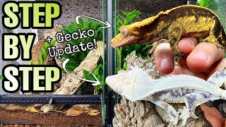 HOW TO SETUP A CRESTED GECKO VIVARIUM  GECKO UPDATE [upl. by Lanti]