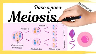 MEIOSIS Paso a Paso [upl. by Anatniuq]