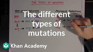 The different types of mutations  Biomolecules  MCAT  Khan Academy [upl. by Hcab121]