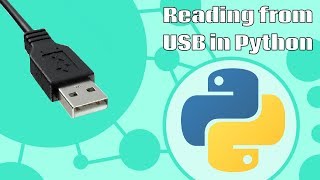 Reading USB in Python [upl. by Ima376]