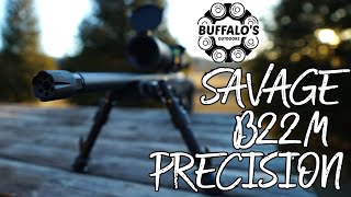 SAVAGE B22 MAGNUM PRECISION  PRECISELY WHAT I NEEDED [upl. by Sarah469]