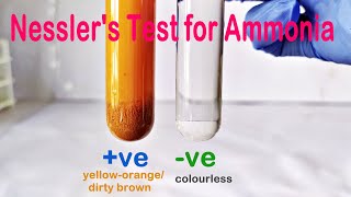 Nesslers Test Practical Experiment [upl. by Llibyc]