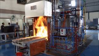 Heat Treatment Process [upl. by Ernesto]