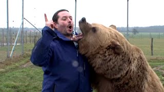 L’homme qui murmurait à l’oreille des ours [upl. by Cordey]