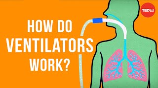 Ventilation V Perfusion Q Coupling [upl. by Ednutabab]