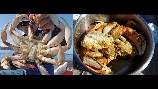 Catch and cook dungeness crab  how to catch crabs on Oregon coast [upl. by Platas]