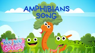 The Amphibian Song for Kids by Boo Boo Gaga booboogaga [upl. by Netta]