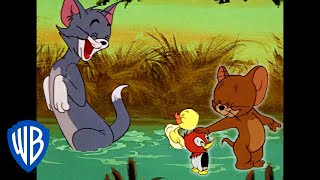 Tom amp Jerry in italiano  È di famiglia  WB Kids [upl. by Furlong]