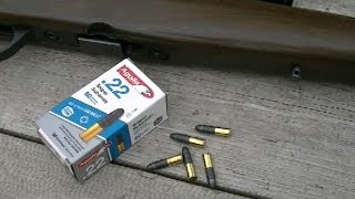 Aguila 22 Sniper Subsonic Ammo Test [upl. by Bethina714]