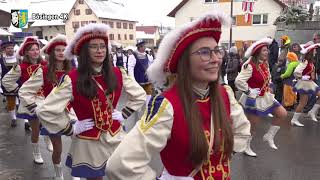 Narrentreffen 50 Jahre Speckmockelzunft Bösingen am 03 02 2019 [upl. by Fredie842]